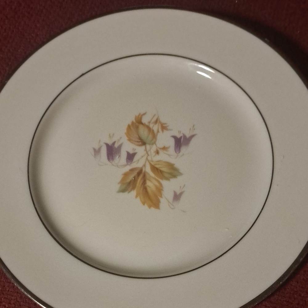 Floral Pattern Saucer Small Plate - White and Gold Royal Jackson Fine China